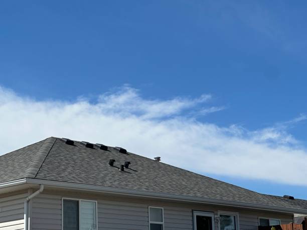 Best Storm Damage Roof Repair  in New River, AZ